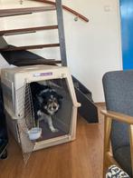Reiskennel hond (groot), Dieren en Toebehoren, Ophalen, Gebruikt