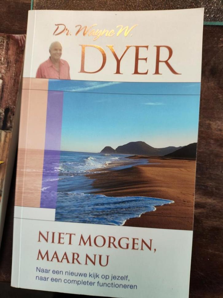Wayne W. Dyer - Niet morgen, maar nu, Boeken, Psychologie, Zo goed als nieuw, Ophalen of Verzenden
