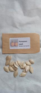 Pompoenzaad (20st.), Ophalen of Verzenden, Volle zon