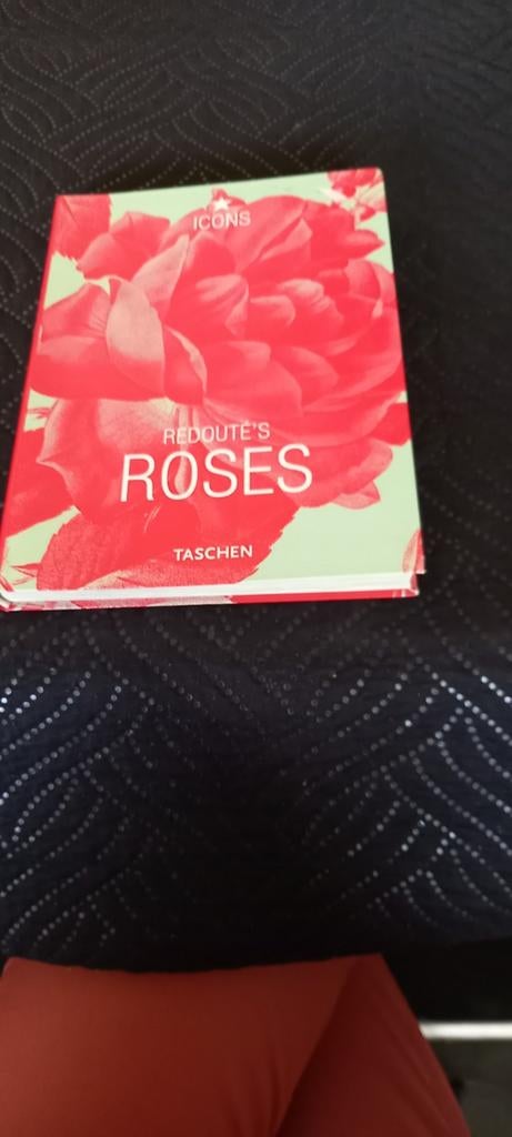Boek ROSES.  Afbeeldingen van allerlei soorten rozen. Tekst, Ophalen of Verzenden