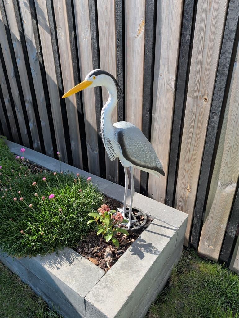 Reiger, Ophalen, Zo goed als nieuw