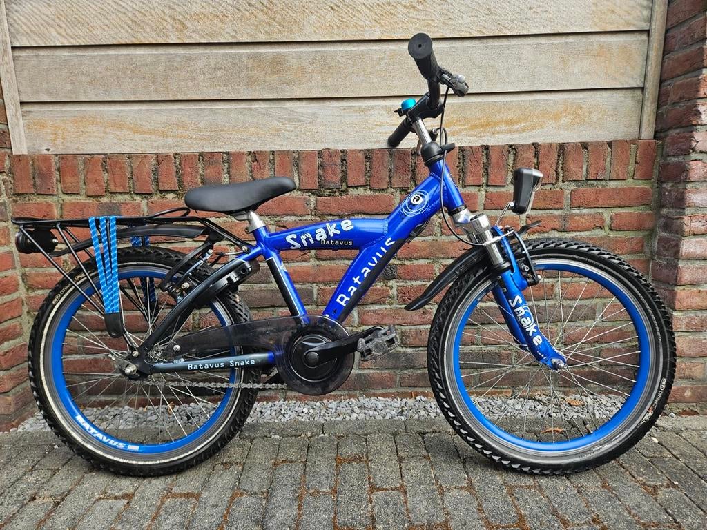 Batavus / Loekie Snake 20 inch NETTE FIETS, Fietsen en Brommers, Fietsen | Jongens, Ophalen, Terugtraprem, Gebruikt, Batavus Snake Alpina Trial Yabber cube bulls loekie sparta