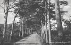 AK Bergen N.H. - Eeuwige Laan, Verzenden, Voor 1920, Gelopen, Noord-Holland