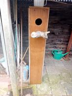 Tekoop broed blok voor koningsparkiet, Ophalen, Gebruikt, Hout, Broedkooi of Kweekkooi
