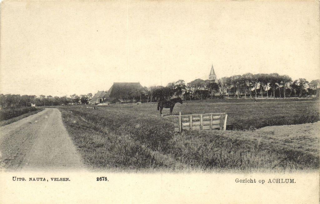 Gezicht op Achlum. - paard - ongelopen, Verzenden, Voor 1920, Ongelopen, Zuid-Holland