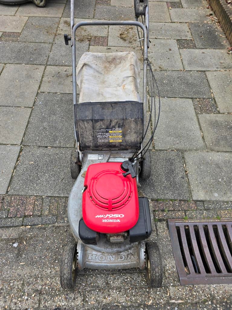 Honda  loop/sloop, Ophalen, 50 cm of meer