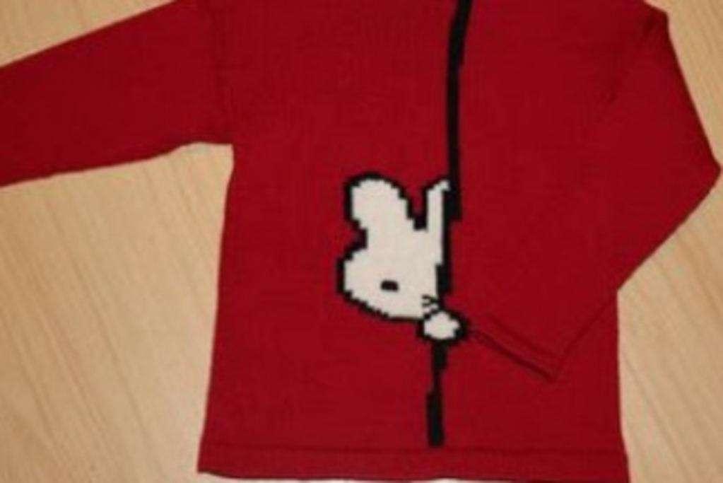 Nijntje kijkt om de hoek trui breipatroon, Hobby en Vrije tijd, Breien en Haken, Ophalen of Verzenden, Zo goed als nieuw, Breien