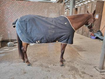 Lamicell Oregan Quarter deken 74" 100gr beschikbaar voor biedingen