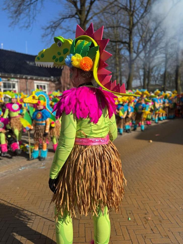 Grote loopgroep thema jungle, carnaval, dieren en krokodil, Kleding | Dames, Carnavalskleding en Feestkleding, Zo goed als nieuw