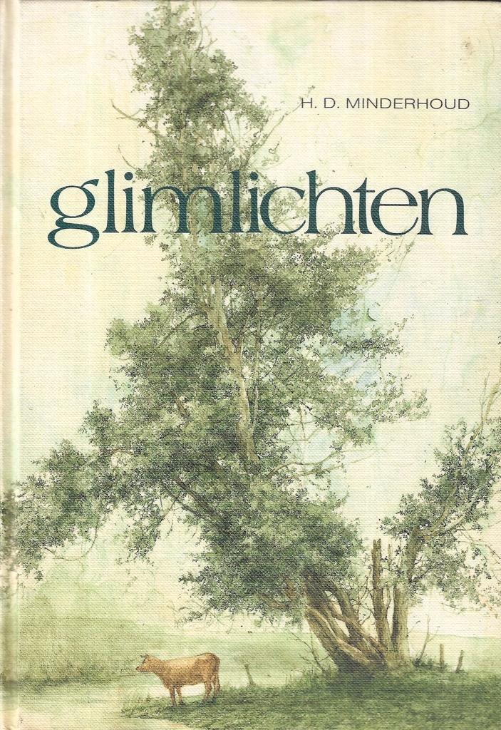Huib D. Minderhoud - Glimlichten (Drenthe, Dalen, Coevorden), Boeken, Streekboeken en Streekromans, Zo goed als nieuw, Verzenden
