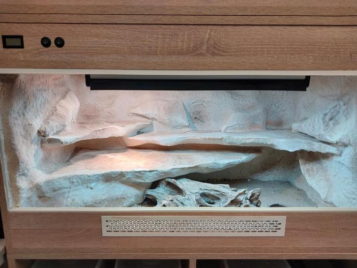 2x Terrarium 100x50x60cm hoog, Dieren en Toebehoren, Reptielen en Amfibieën | Toebehoren, Zo goed als nieuw, Ophalen of Verzenden