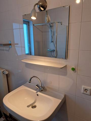 Wastafel met spiegel beschikbaar voor biedingen
