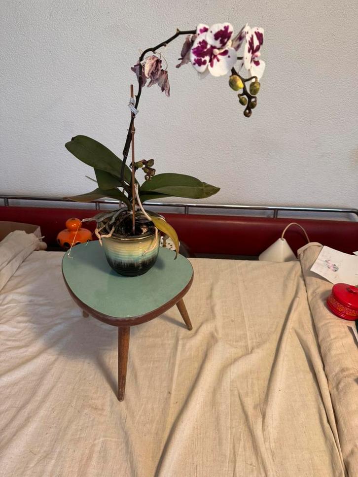 Plantentafeltje,fifties, sixties, Rockabilly, vintage, Huis en Inrichting, Woonaccessoires | Overige, Gebruikt, Ophalen of Verzenden