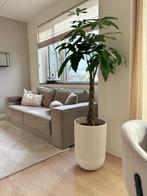 Vloerkleed Soft draw Vt wonen, Huis en Inrichting, Stoffering | Tapijten en Kleden, Ophalen, 150 tot 200 cm, 200 cm of meer, Zo goed als nieuw