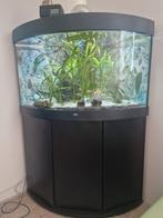 Juwel hoekaquarium 150 liter, Ophalen of Verzenden, Gebruikt, Leeg aquarium