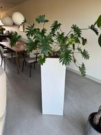 Zuil voor planten, Huis en Inrichting, Woonaccessoires | Zuilen en Pilaren, Ophalen, Gebruikt