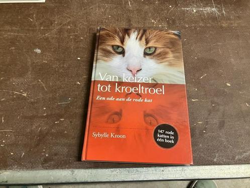 rode kat kater, Boeken, Dieren en Huisdieren, Zo goed als nieuw, Katten, Ophalen