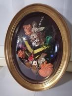 Taxidermy, Verzamelen, Dierenverzamelingen, Verzenden, Nieuw, Insect, Opgezet dier