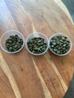 Vis en garnalenvoer, spirulina tabletten, Kreeft, Krab of Garnaal