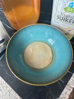 Biologische kombucha SCOBY + startervloeistof, Diversen, Levensmiddelen, Ophalen