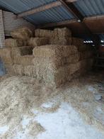 Hooi pakjes te koop, Dieren en Toebehoren, Geslacht onbekend, Geit