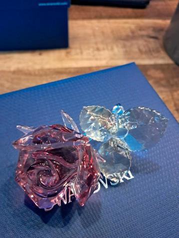 Roos beschikbaar voor biedingen