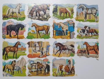 poëzieplaatjes paarden beschikbaar voor biedingen