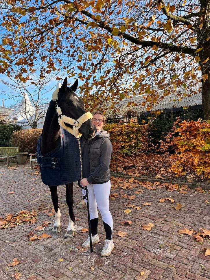 Kentucky Halster Sheepskin Natural, Dieren en Toebehoren, Paarden en Pony's | Hoofdstellen en Tuigage, Nieuw, Overige soorten