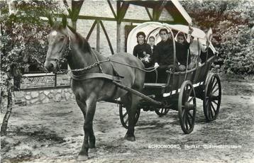 (388-459-003) Schoonoord Openluchtmuseum De Zeven Marken beschikbaar voor biedingen