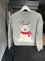 Meisjes winter trui, Ophalen of Verzenden, Zo goed als nieuw, Meisje, Trui of Vest