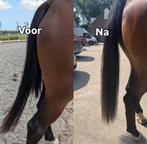 Wil jij een mooi volle staart bij je paard.., Ophalen of Verzenden, Nieuw