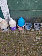 Duiven drinkbakken, Dieren en Toebehoren, Vogels | Duiven