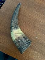 Buffel hoorn 31 cm, Ophalen of Verzenden, Overige soorten, Gewei of Kop
