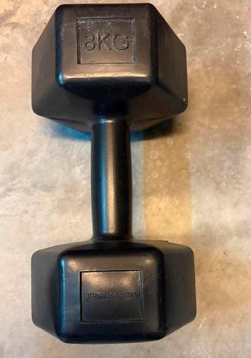 2 zwarte Dumbbells a 8 kg beschikbaar voor biedingen
