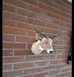 Hertenkop super zachte en mooi, Ophalen of Verzenden, Zo goed als nieuw