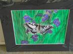 hobby, Ophalen of Verzenden, Nieuw