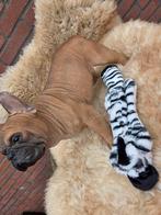 Flattie Zebra, Ophalen of Verzenden, Nieuw, Knuffels