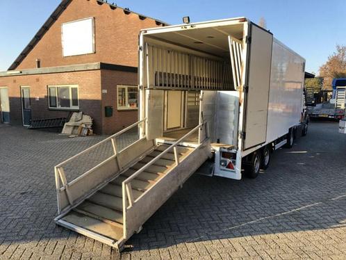 DOORNWAARD Be oplegger vee trailer 5 ton's Veewagen doornwaa, Auto's, Vrachtwagens, Bedrijf, Te koop, Aanhangers en Opleggers