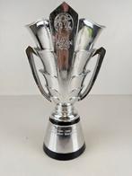 Asia Cup Trofee - 31cm hoog, Ophalen of Verzenden, Gebruikt, Overige typen