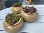 Set van 3 bloempotten, Ophalen of Verzenden, Rond, Aardewerk, Minder dan 25 cm
