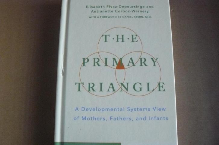 THE PRIMARY TRIANGLE / Elisabeth Fivaz / Antionette Coboz, Boeken, Psychologie, Zo goed als nieuw, Ophalen of Verzenden