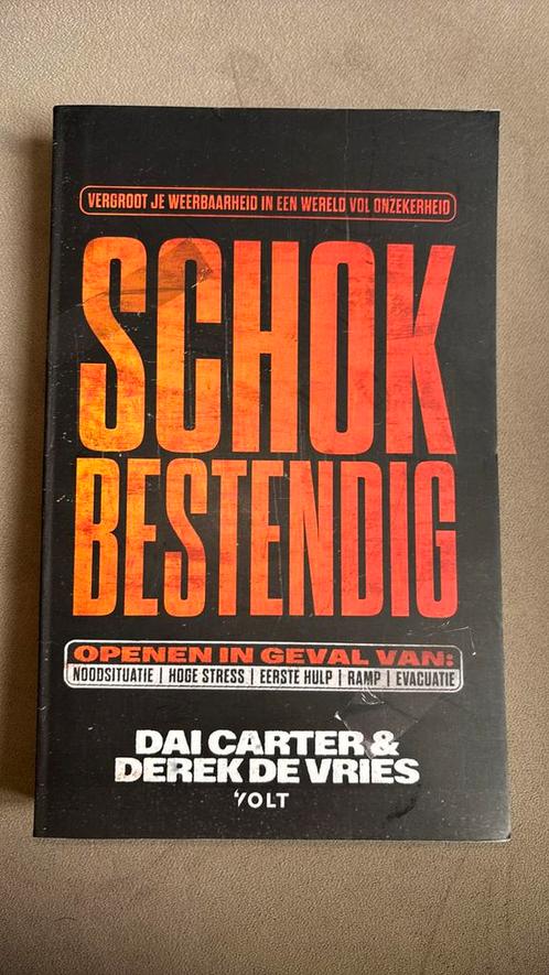 Schokbestendig Dai Carter & Derek de Vries, Boeken, Advies, Hulp en Training, Nieuw, Ophalen of Verzenden
