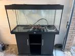 Juwel 350 liter aqarium met alles erbij., Dieren en Toebehoren, Vissen | Aquaria en Toebehoren, Ophalen, Zo goed als nieuw, Leeg aquarium