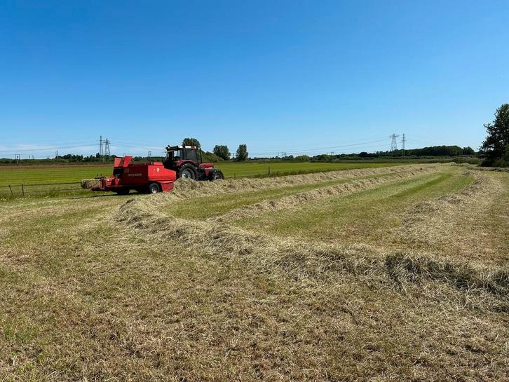 Hooi balen, Dieren en Toebehoren, Dierenvoeding, Vee, Ophalen