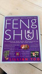 Feng Shui - de complete gids over de filosofie Lillian Too, Ophalen of Verzenden, Zo goed als nieuw