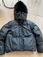 Puffer maat s zwart newyorker fb sister, Ophalen of Verzenden, Zo goed als nieuw, Zwart