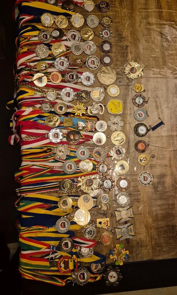 Collectie van 85 medailles, Verzamelen, Ophalen of Verzenden, Gebruikt, Overige onderwerpen, Speldje of Pin