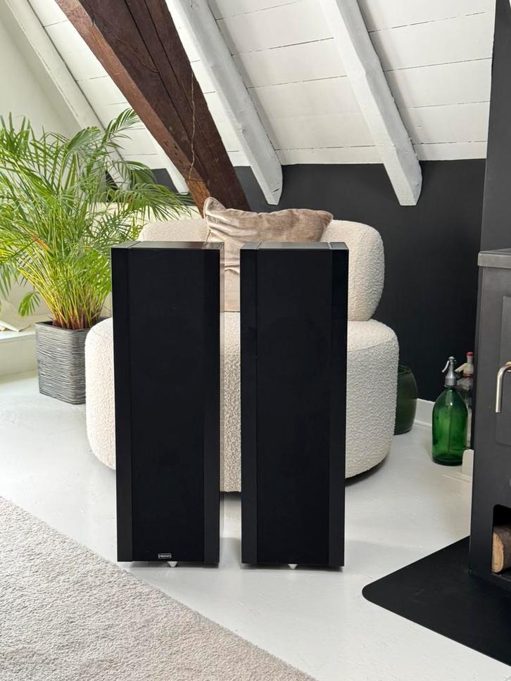 Zwitserse precisie Piega LDS 1.0 stereo boxen, Audio, Tv en Foto, Luidsprekers, Gebruikt, Front, Rear of Stereo speakers, 120 watt of meer