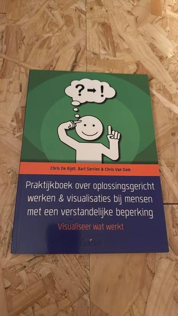 Praktijkboek over oplossingsgericht werken & visualisaties b beschikbaar voor biedingen