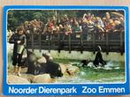 Dierentuin noorder dierenpark Emmen, Verzamelen, Ansichtkaarten | Dieren, Ophalen of Verzenden